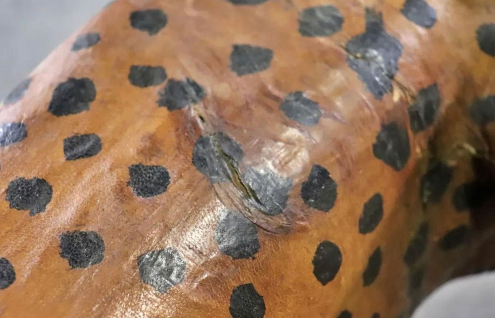 Leather Wrapped Leopard - 6