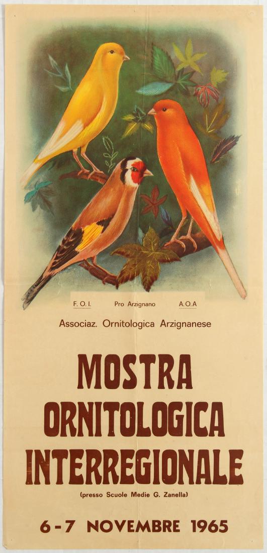 Advertising poster Ornithological Interregional: Advertising poster Ornithological Interregional Exhibition in G. Zanella Middle School 6-7 November 1965 (Mostra Ornitologica Interregionale presso Scuole Medie G. Zanella). Illustration features 3 bi