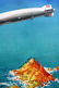 Travel Poster Graf Zeppelin HAPAG South America - 6
