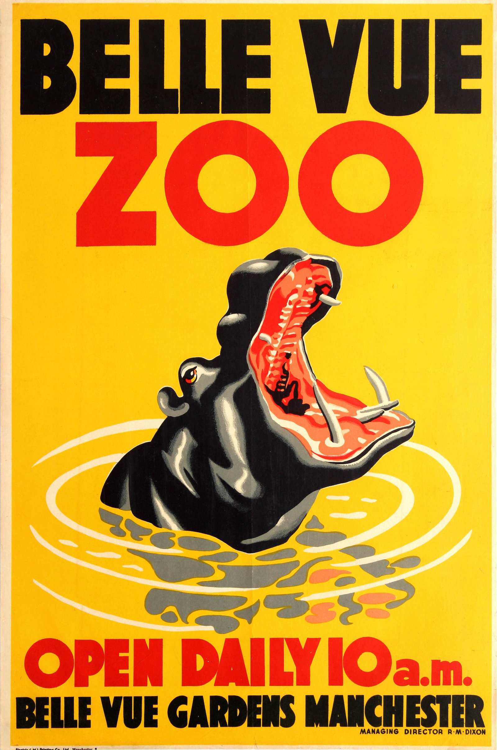 Travel Poster Belle Vue Zoo Manchester Hippo: Original vintage travel advertising poster for the Belle Vue Zoo in Manchester featuring a colourful image of a hippopotamus yawning reflected in ripples of water against a bright yellow background wi