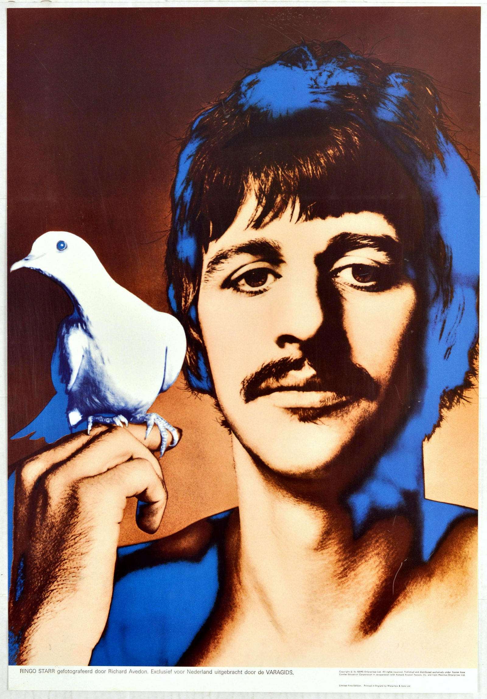 Advertising Poster Beatles Ringo Starr Avedon: Original vintage poster for The Beatles featuring an iconic psychedelic Pop Art style image of Ringo Starr (Richard Starkey; b.1940) holding a dove on one hand. Solarized photo by the American artist 