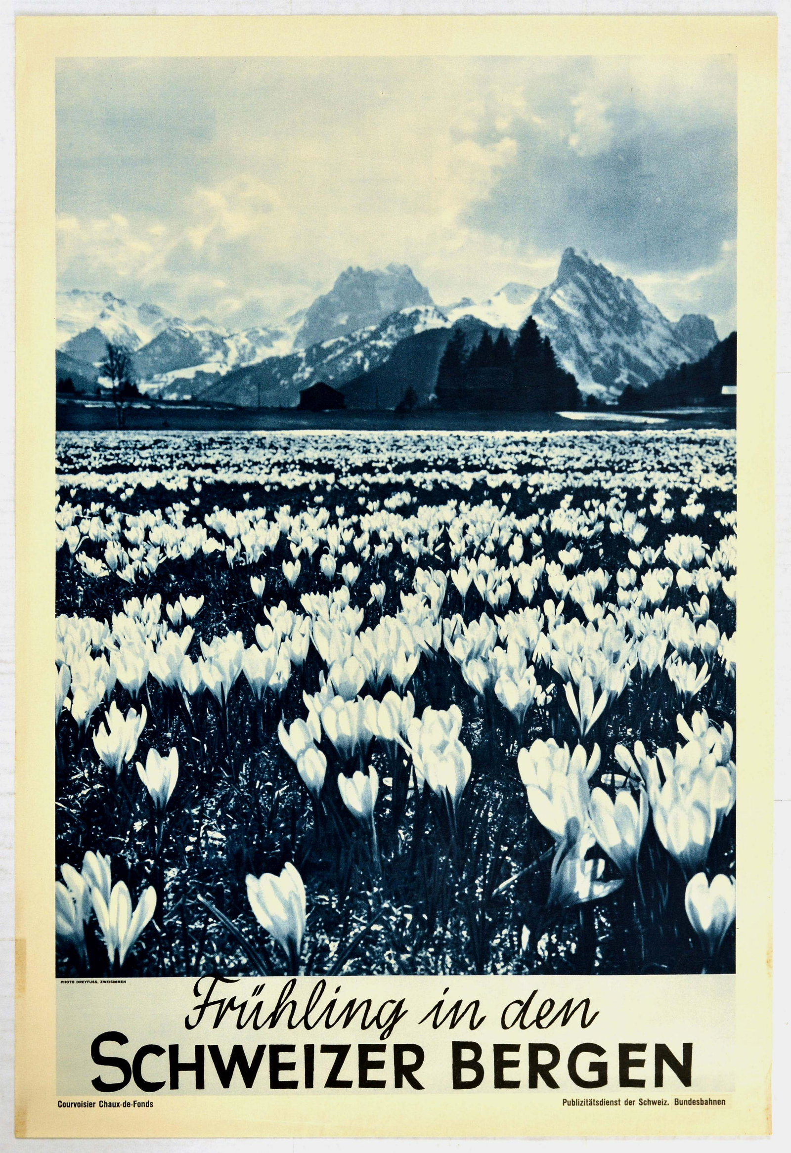 Travel Poster Spring Mountains Switzerland Swiss: Original vintage travel advertising poster titled in German Fruhling in den Schweizer Bergen - Spring in the Swiss Mountains, with a dark blue cyanotype like photograph featuring a field of crocus flo