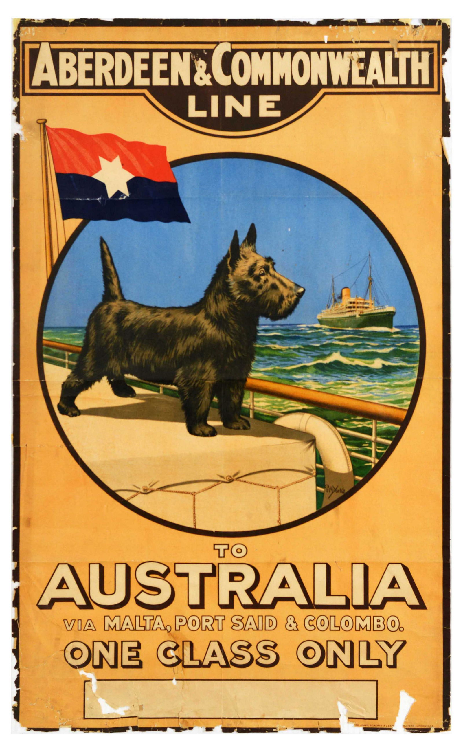 Travel Poster Aberdeen Commonwealth Scottish Terrier Line Australia: Original vintage travel advertising poster - Aberdeen & Commonwealth Line to Australia via Malta, Port Said & Colombo. One Class Only - featuring an illustration of a black Scottish Terrier dog aboard