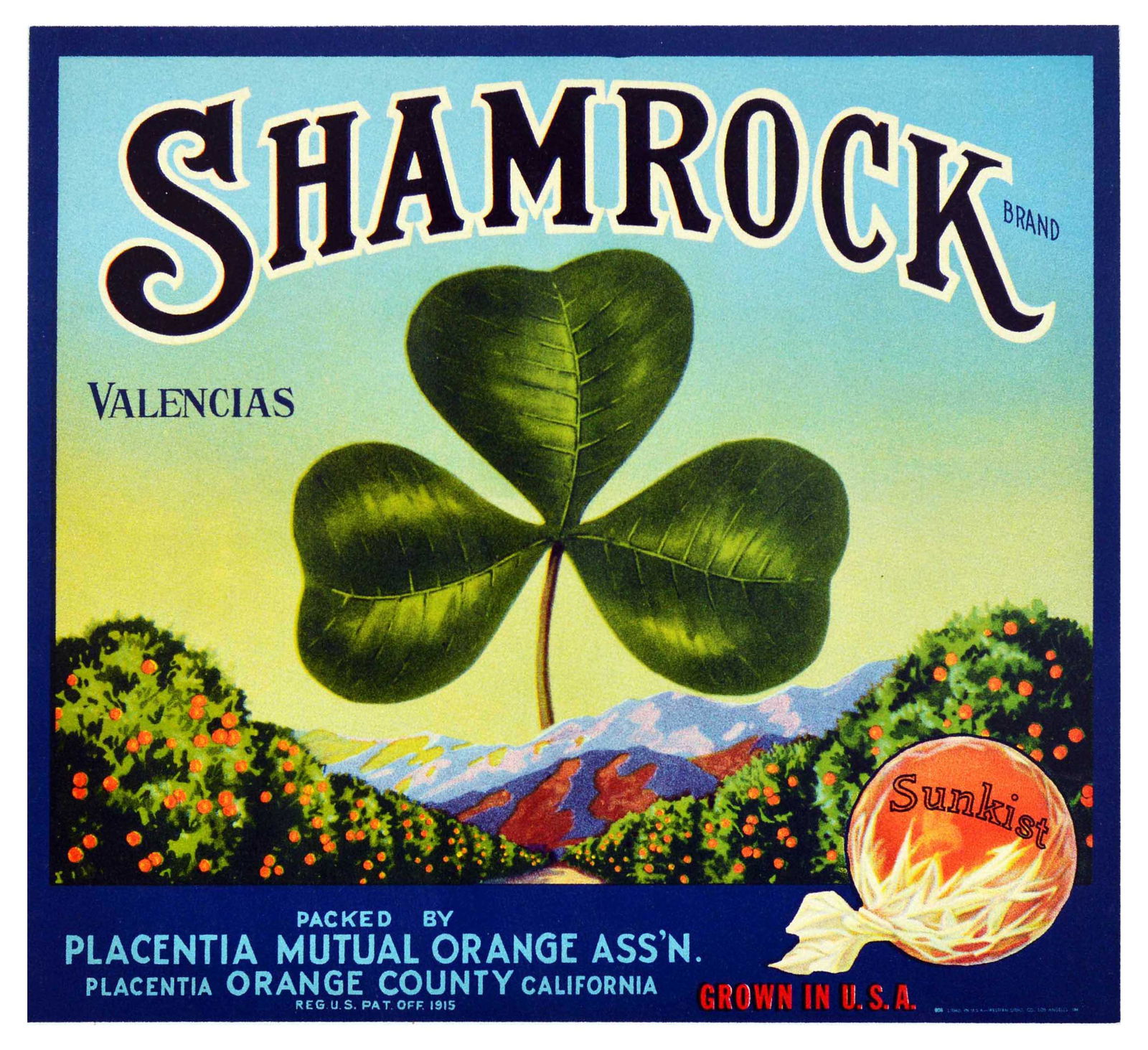 Advertising Poster Shamrock Fruit Mutual Orange Association California USA: Original vintage fruit crate label poster for Shamrock brand fruit - Packed by Placentia Mutual Orange Association, Placentia Orange County California - Design features a clover leaf with rows of oran