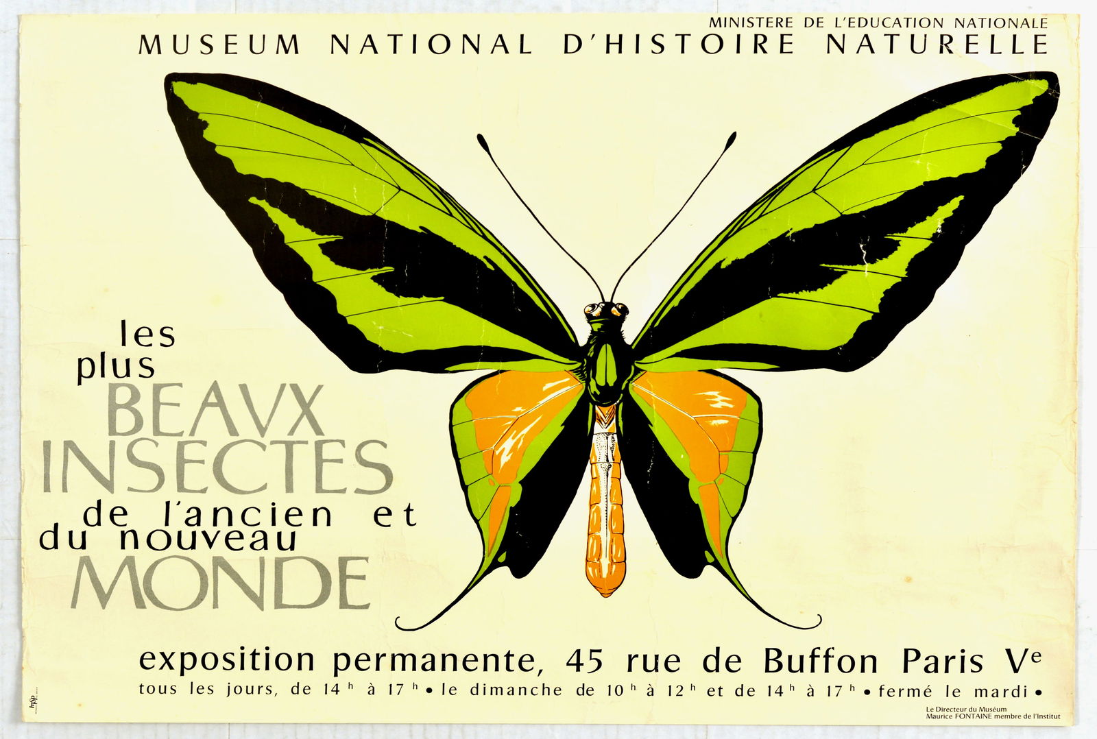 Advertising Poster Natural History Museum Insects Old New World: Original vintage advertising poster issued by the French Museum of Natural History - The Most Beautiful Insects of the Old and New World - Great design features an illustration of a butterfly next to