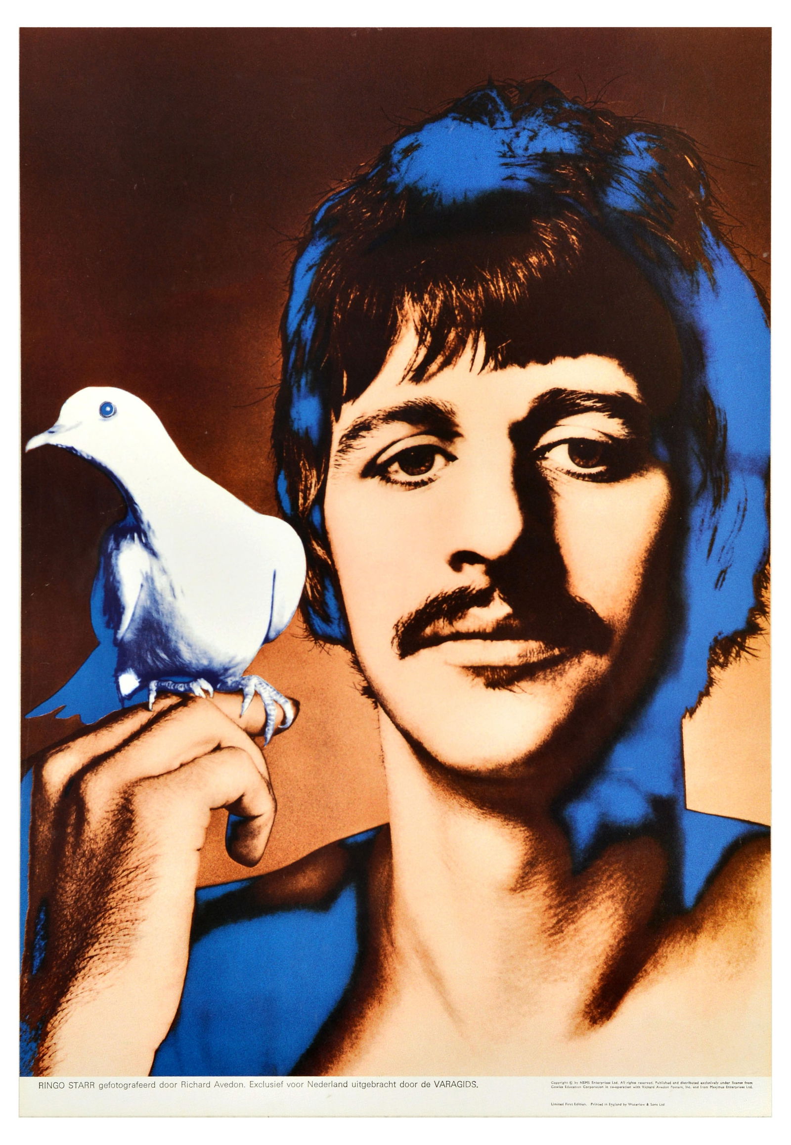 Advertising Poster Beatles Ringo Starr Peace Dove Avedon: Original vintage music advertising poster featuring a colourful and psychedelic photo design using a new solarisation technique by the American photographer Richard Avedon (1923-2004) of the Beatles m