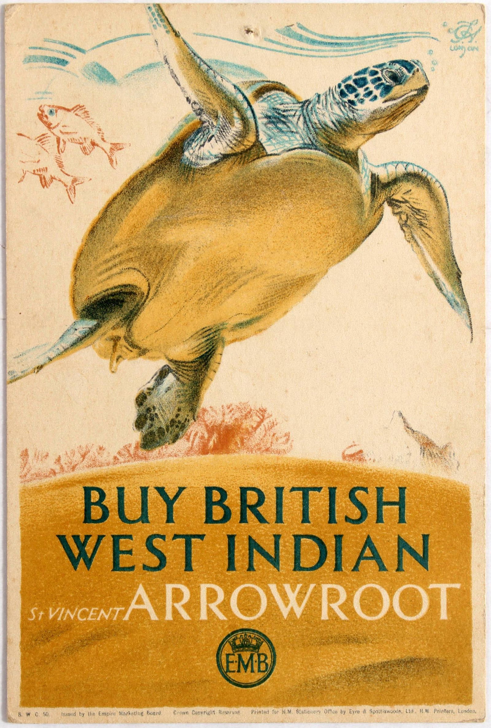 Advertising Poster EMB West Indian Arrowroot Turtle: Original vintage advertising double-sided poster card Buy British West Indian St. Vincent Arrowroot 1930s. This card is one of a series being issued to retail grocers by the Empire Marketing Board. Th