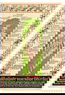 Advertising Poster Medicinal Herbs Homeopathy Heilkrauter Health Medicine: Original vintage health poster - Medicinal herbs from head to toe / Heilkrauter von kopf bis fuss - featuring an illustration of a human body marking body parts and organs and listing various plants,