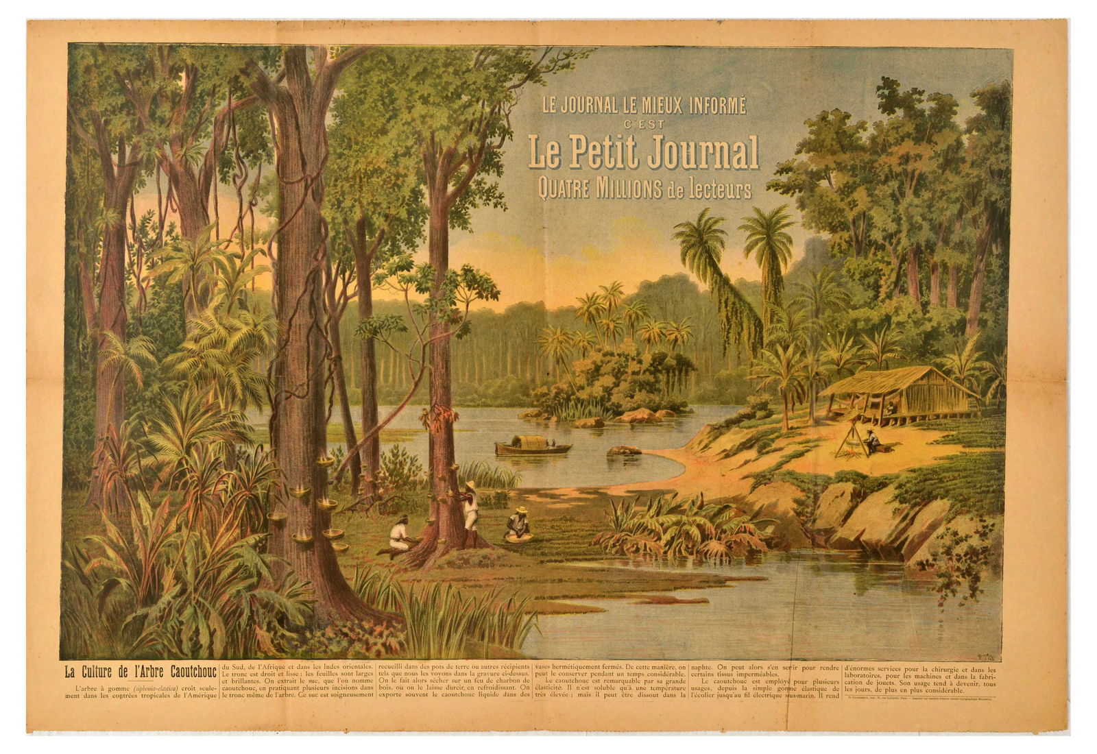 Lithograph Poster Rubber Tree Cultivation Le Petit Journal: Original vintage lithograph newspaper supplement titled La Culture de l'Arbre Caoutchouc / The Cultivation of the Rubber Tree issued by Le Petit Journal - The best informed newspaper with four million