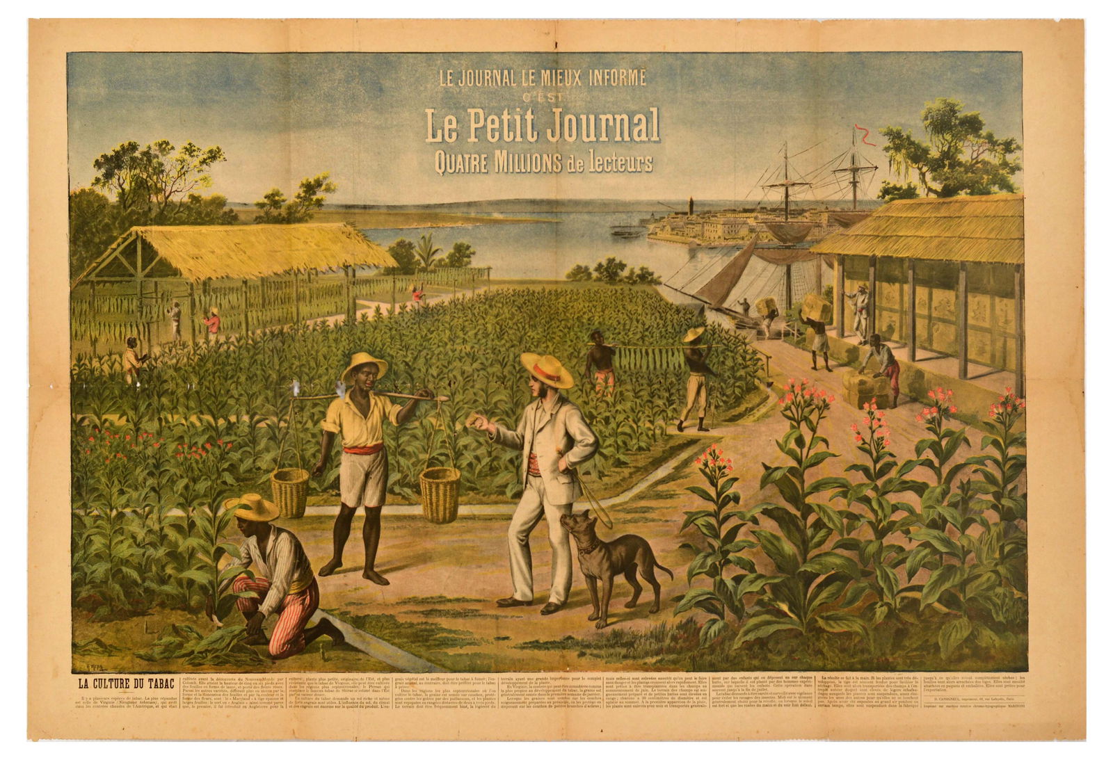 Lithograph Poster Virginia Tobacco Plantation USA Culture Le Petit Journal (1 of 1)
