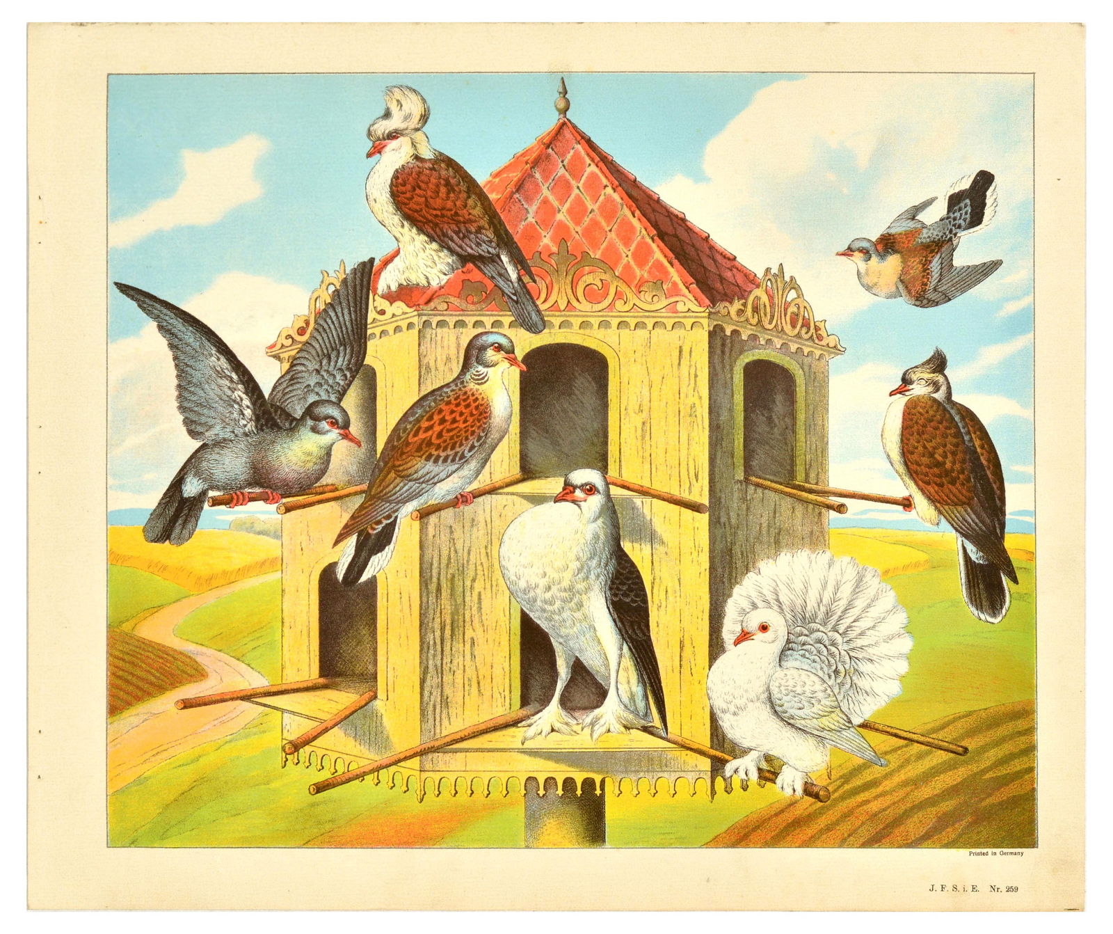 Antique Print Lithograph School Aid Set Geese Pigeon Duck Turkey Rabbit Schreiber: Set of 8 original antique chomolithograph educational prints published by J F Schreiber (J F S i E). 1. Goose with goslings walking through a field with flowers; 2. Sheep and a little white lamb stand