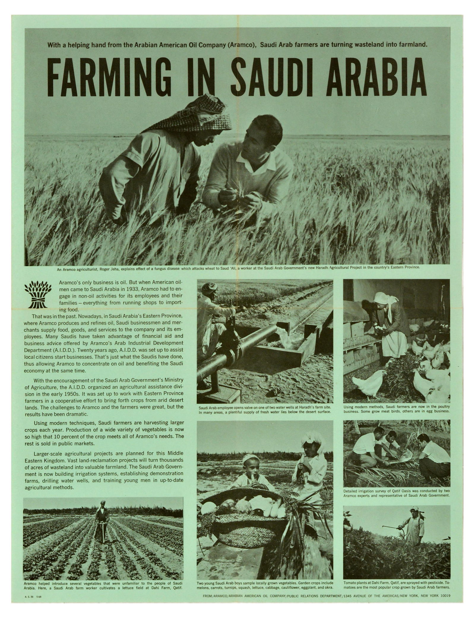 Advertising Poster Farming Saudi Arabia Aramco Arabian American Oil Company (1 of 1)