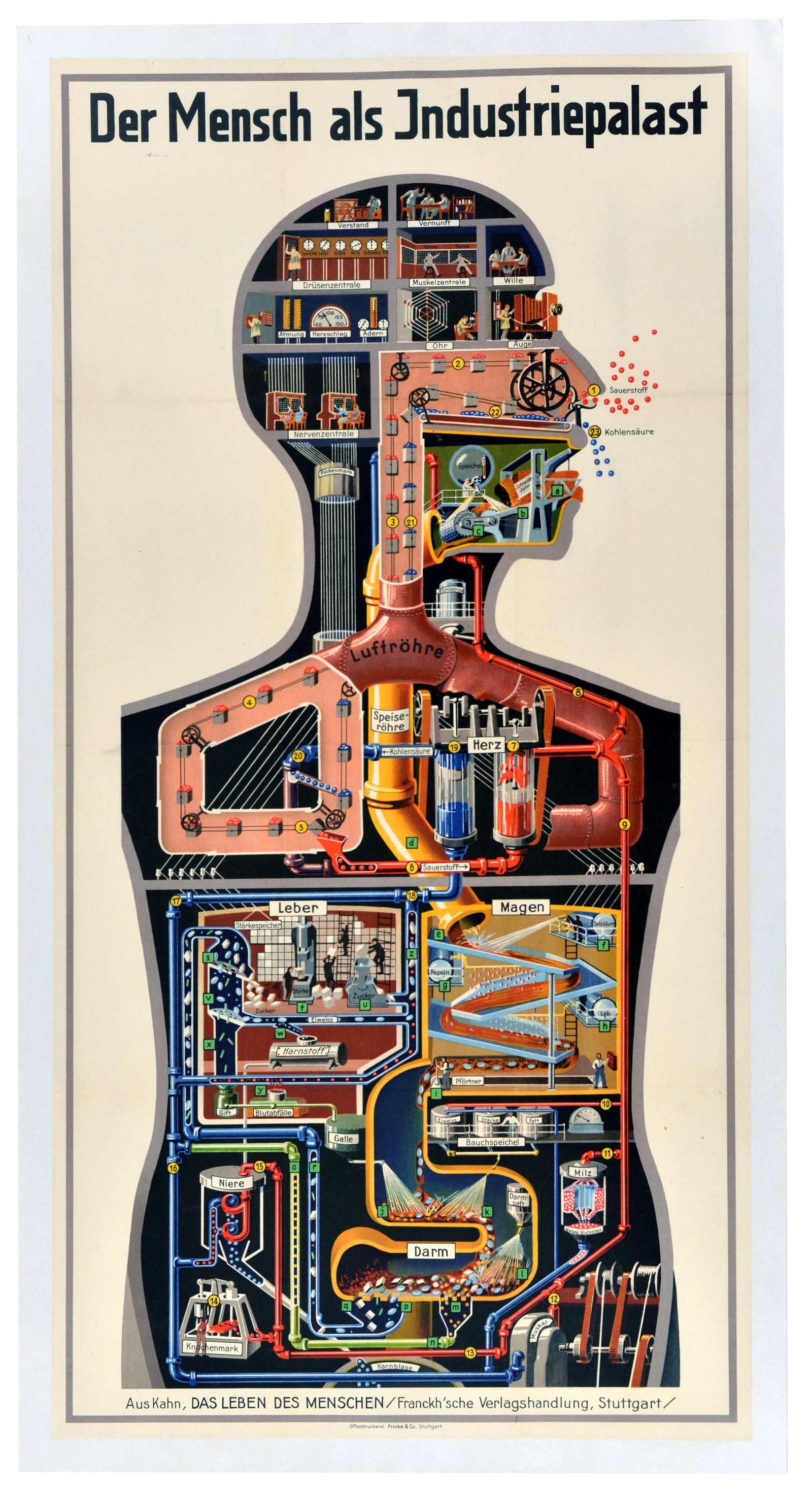 Advertising Poster Man As Industrial Palace Fritz Kahn: Original vintage poster for the graphic analogy - Der Mensch Als Industriepalast / Man As Industrial Palace - by the German physician, scientist and illustrator Fritz Kahn (1888-1968). Fantastic indus