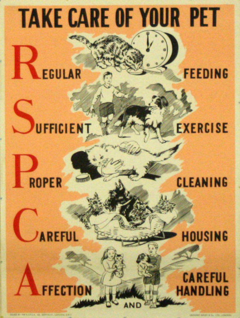 Propaganda Poster RSPCA: Propaganda Poster RSPCA Original vintage RSPCA poster: Take care of your pet, regular feeding, sufficient exercise, proper cleaning, careful housing, affection, careful handling. Images of cats and do