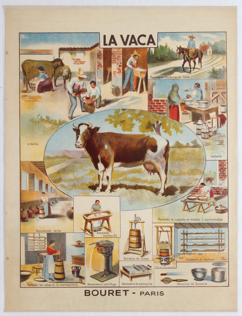 School Learning Spanish Poster Cow (1 of 1)