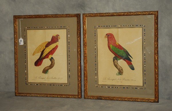 Jacques Barraband, French 1767-1809, hand colored (1 of 1)