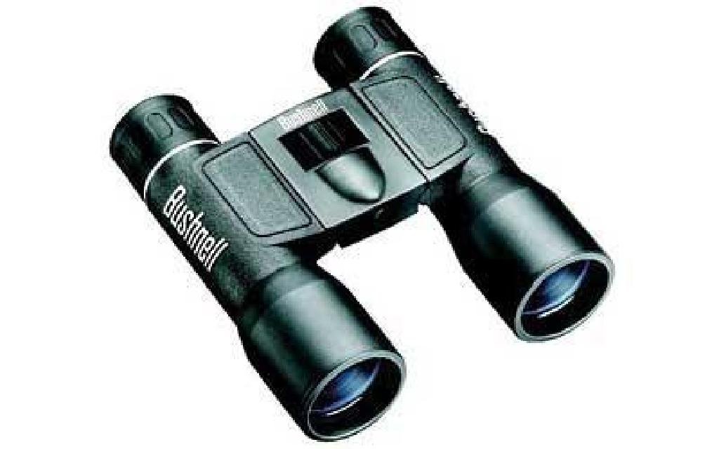 (NEW)BUSHNELL POWERVIEW 16X32 FRP CMP BLK029757131638: Bushnell, Powerview Binocular, 16X32, Mid-Size, Roof Prism, Black, Rubber Product Specifications UPC Code: 029757131638 Manufacturer: Bushnell Model: Powerview Type: Binocular Power: 16X Objective: 32