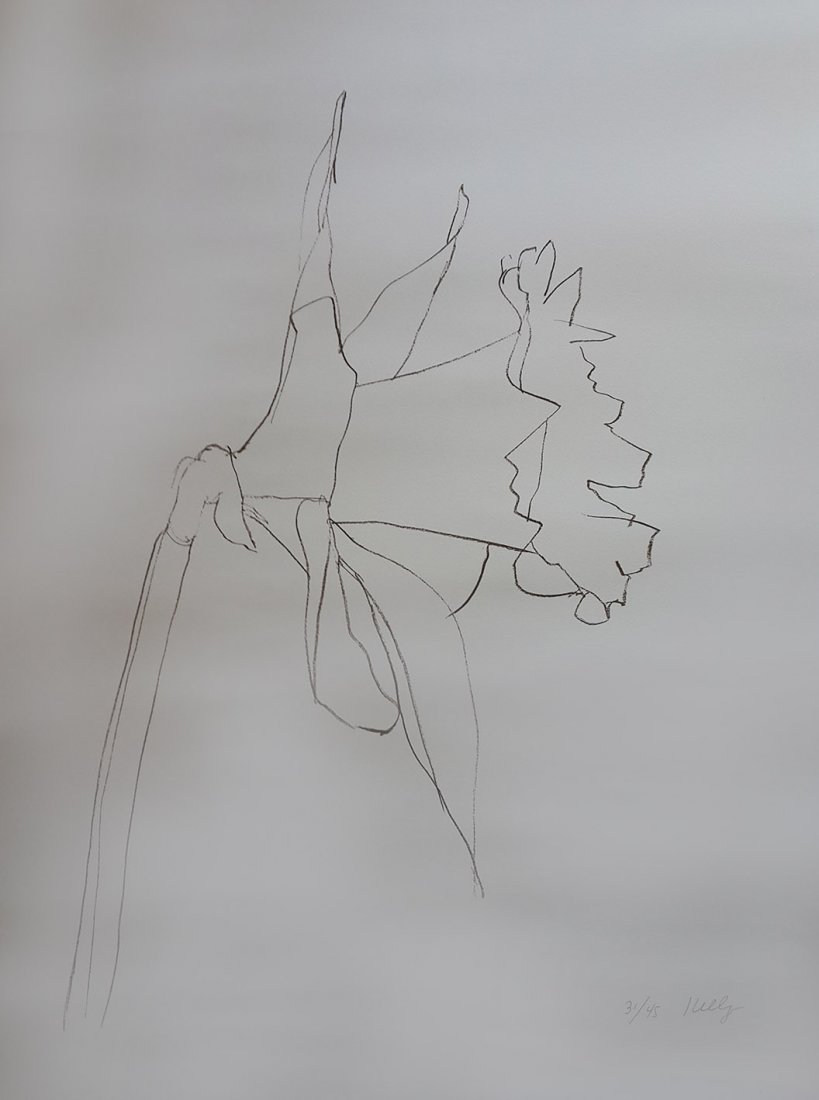 Ellsworth Kelly Daffodil, 2001: Lithograph on Rives paper, signed in pencil and numbered 31/45 (there were also 12 artist's proofs), with the blindstamp of the publisher, Gemini G.E.L., Los Angeles, printed by Jonathan Cross, with f