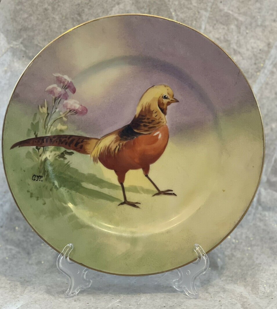 Vintage Limoges Bird Plate Signed Gyp Elite Works France