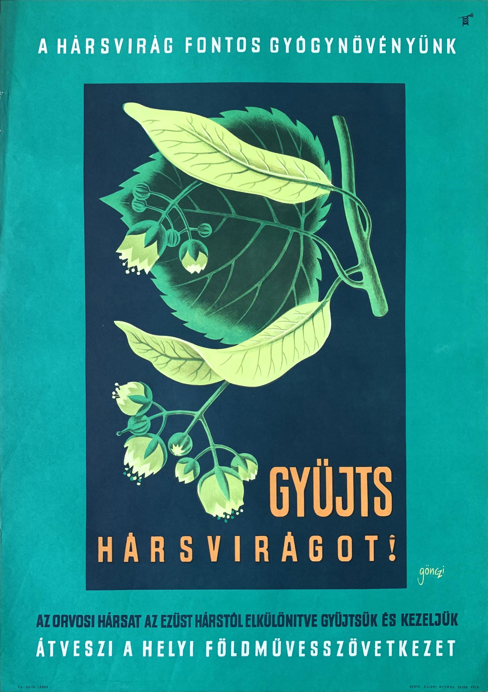 Propaganda Poster Collect Linden Flowers 1966: Artist: Tibor Gonczi Gebhardt. Year: 1966. Size: cca. 50 x 70 cm. Condition: Fine, light fold marks and wear. Vintage Hungarian commercial propaganda poster to address herb growers and collectors.