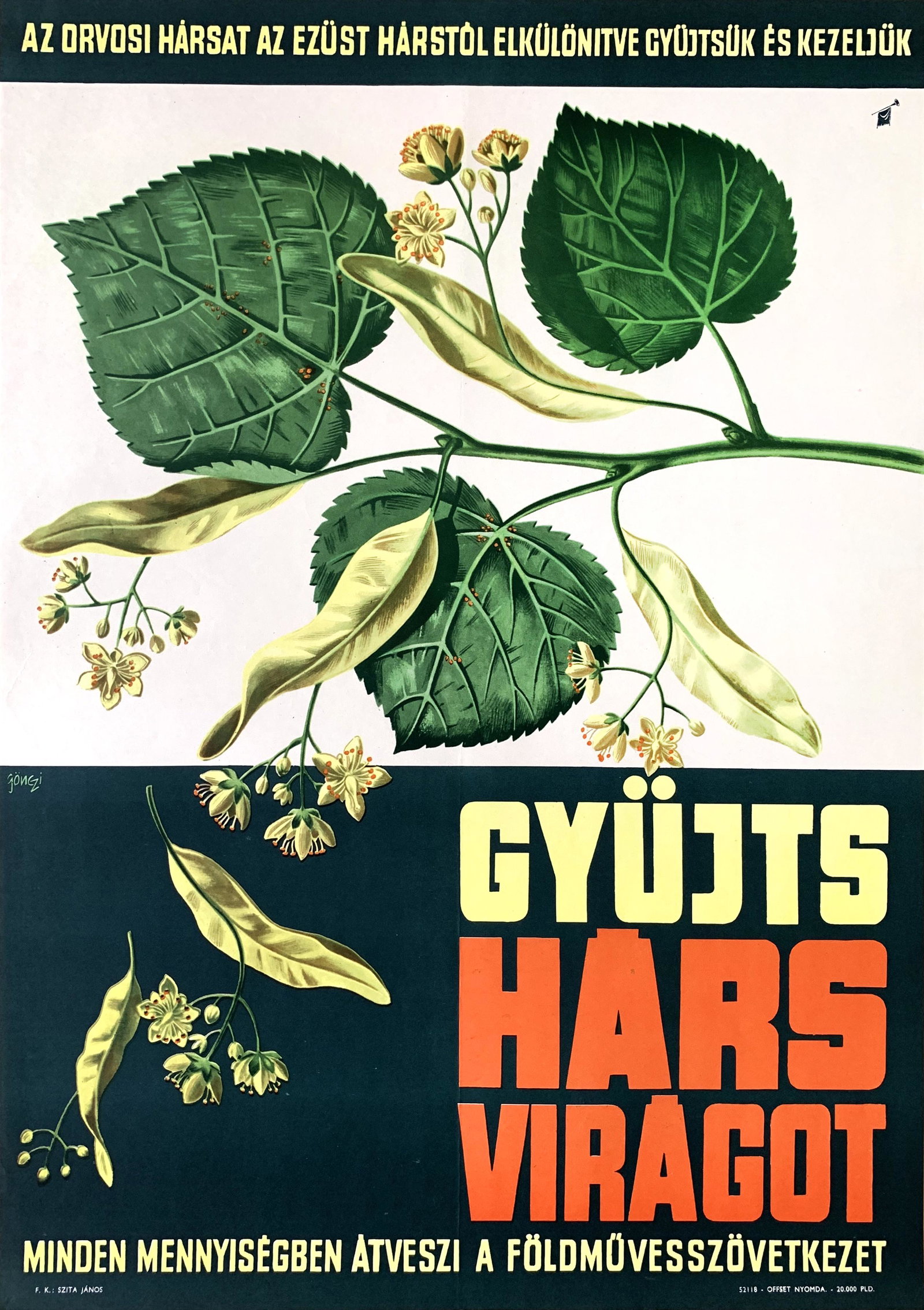 Propaganda Poster Collect Linden Flowers 1965: Artist: Tibor Gonczi Gebhardt. Year: 1965. Size: cca. 50 x 70 cm. Condition: Fine, light fold marks and wear. Vintage Hungarian commercial propaganda poster to address herb growers and collectors.