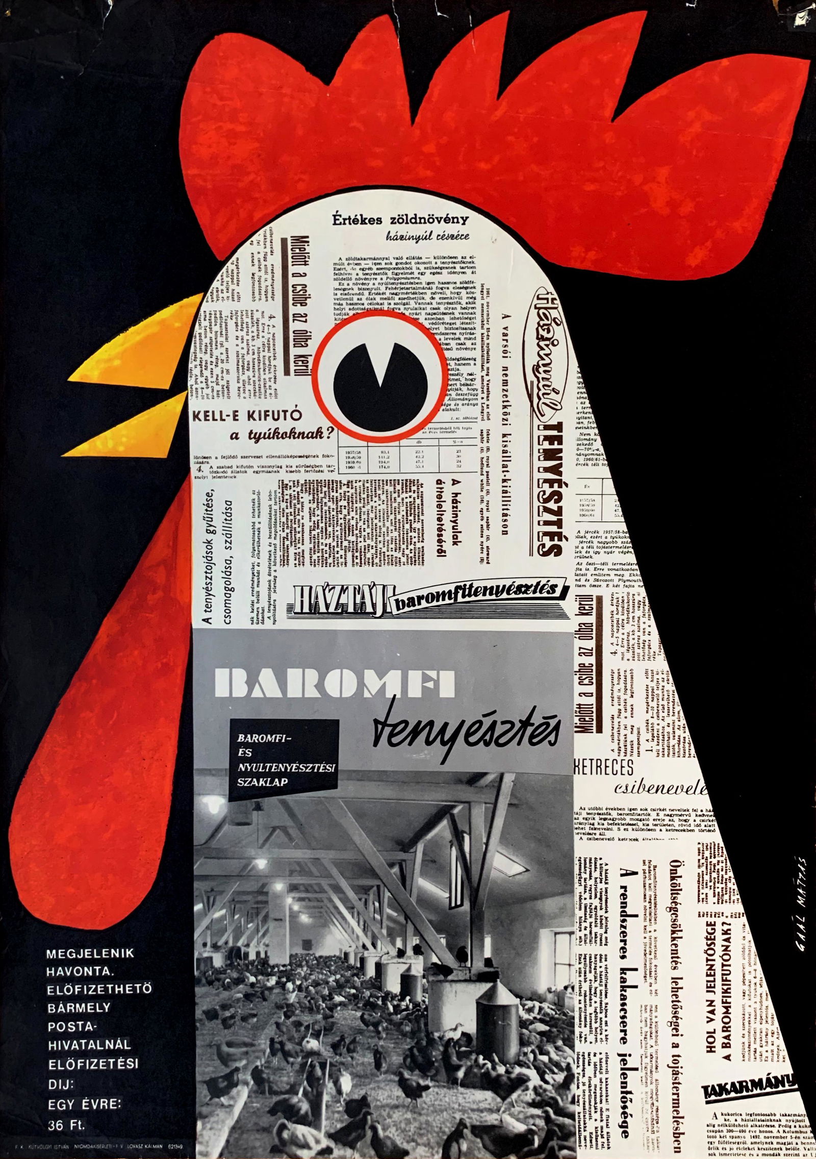 Poster Poultry Farming Magazine 1962 (1 of 1)