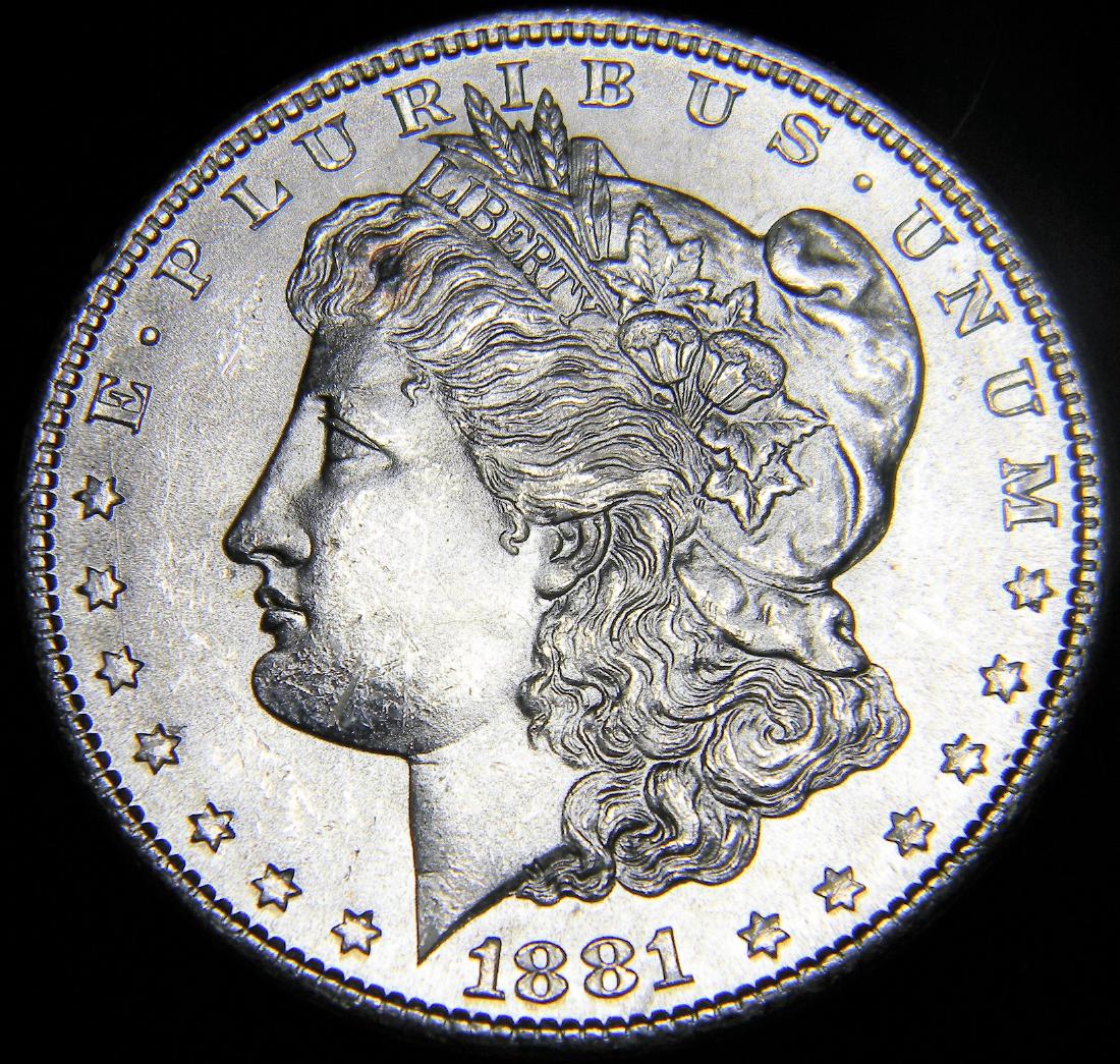 1881 S Morgan Silver Dollar, Mint State Proof like (1 of 2)