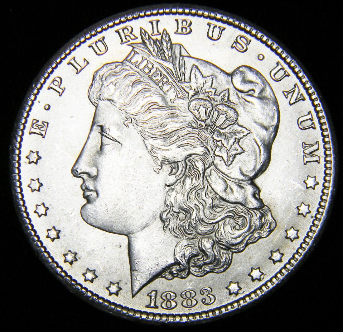 1883 CC Morgan Silver Dollar Carson City Brilliant (1 of 10)