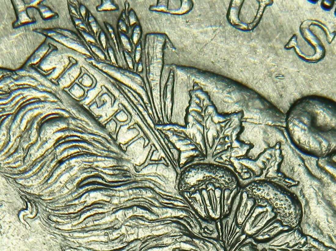 1921-S VAM 1B3A "Thornhead" Variety, Morgan Silver (1 of 3)