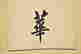 item-51680336=9