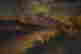 item-51766892=2