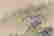 item-53949793=6