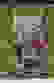 item-53950713=4
