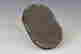 item-55853704=4