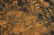 CHINESE LANDSCAPE SILK PAINTING SCROLL - 9