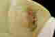 item-55853833=5