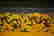 item-57534232=5