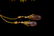 19TH C CHINESE QING GOLD PRAYER BEADS BRACELET - 4