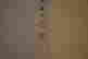 item-57534298=6