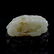 CHINESE JADE POMEGRANATE & BOYS WATER DROP - 8