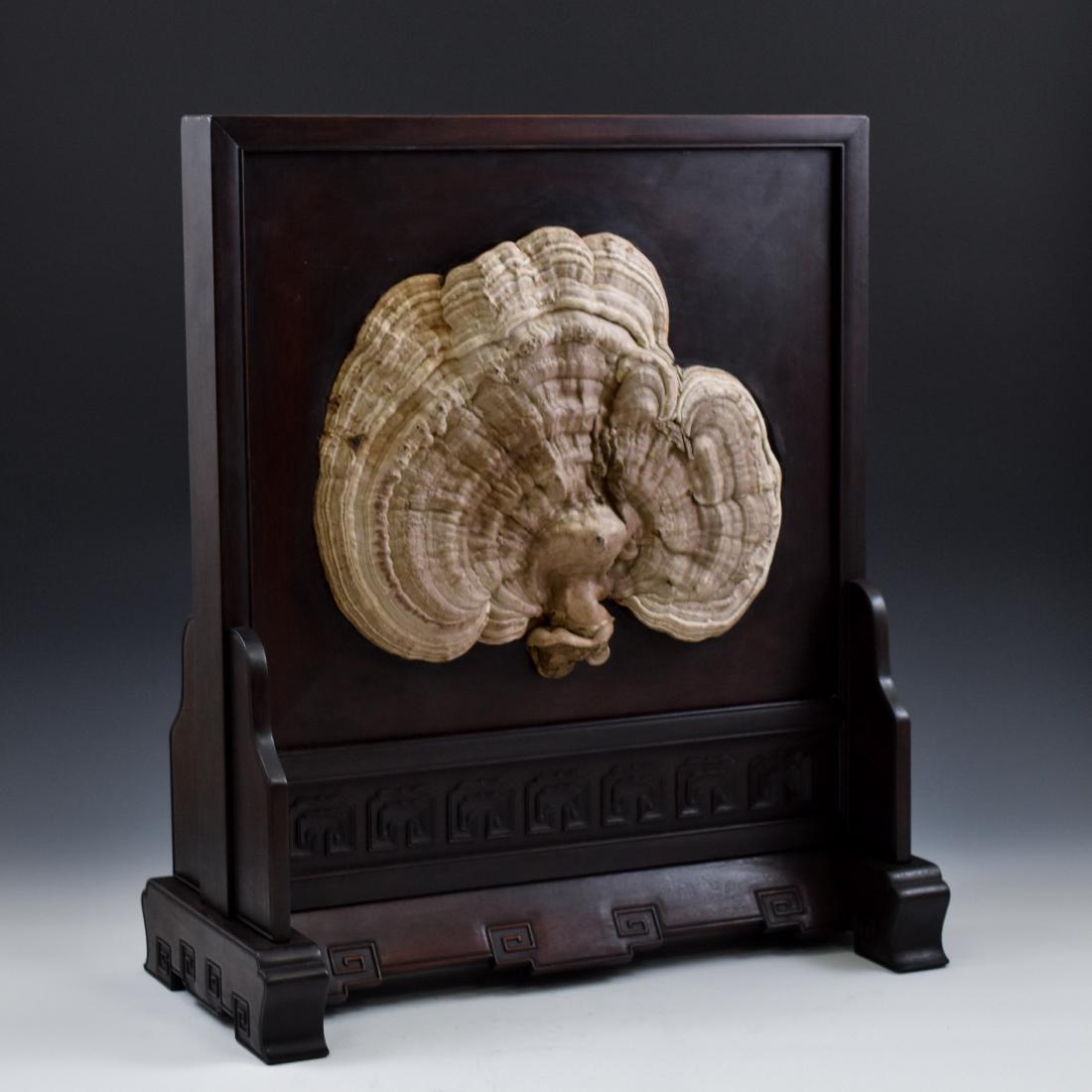 19TH C RARE PRESERVED MASSIVE LINGZHI TABLE SCREEN (1 of 11)