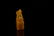 SET OF 3 PCS 19TH C VERY FINE TIANHUANG SEAL IN BOX - 6