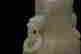 item-62217654=3
