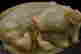 item-62217663=2