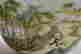 item-62217710=4
