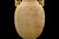 CARVED JADE LIDDED VASE - 5