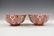 PAIR QIANLONG BAJIXIANG MOTIF RED BOWLS - 13