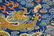 18TH C FRAMED EMBROIDERY SILK IMPERIAL DRAGON - 4