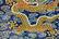 18TH C FRAMED EMBROIDERY SILK IMPERIAL DRAGON - 5