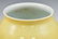 XUANDE YELLOW MONOCHROME BRUSH WASHER - 5